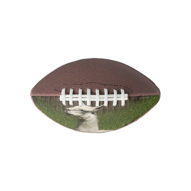 White Llama Football (Vorderseite)
