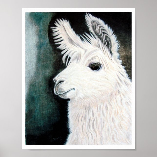 White Llama Poster (Vorne)