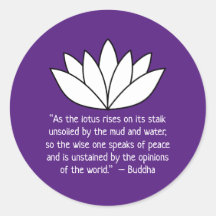 White Lotus Blume und Buddha Zitat
