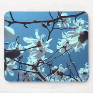 White Magnolia Bloom Blue Sky Mousepad