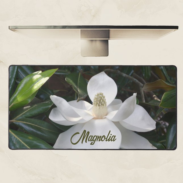 White Magnolia Blossom Floral Fotografie Schreibtischunterlage (Von Creator hochgeladen)