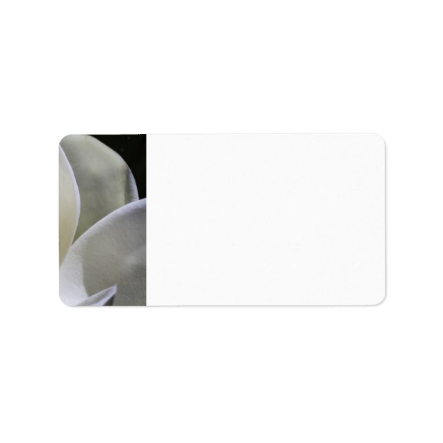 White Magnolia - Étiquettes de adresse Mariage (Devant)