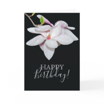 White Magnolia