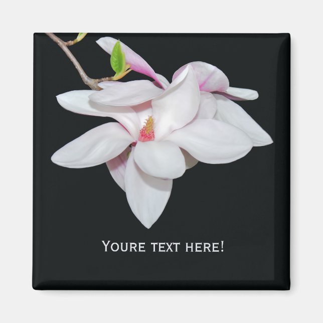 White Magnolia Magnet (Vorne)