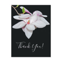White Magnolia