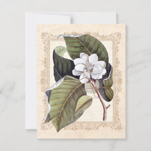 White Magnolia Süd Hochzeit retten Datum Save The Date