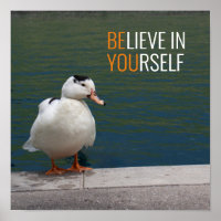 White Mallard Duck Foto