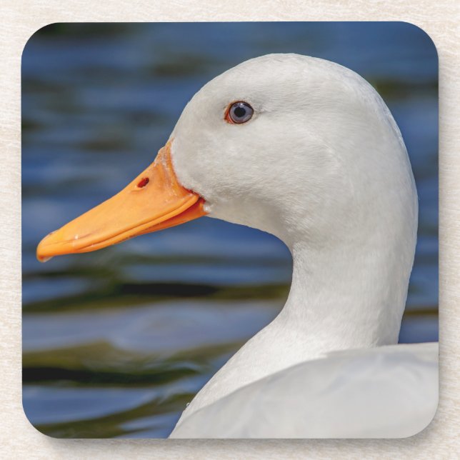 White Mallard Duck Untersetzer (Vorderseite)