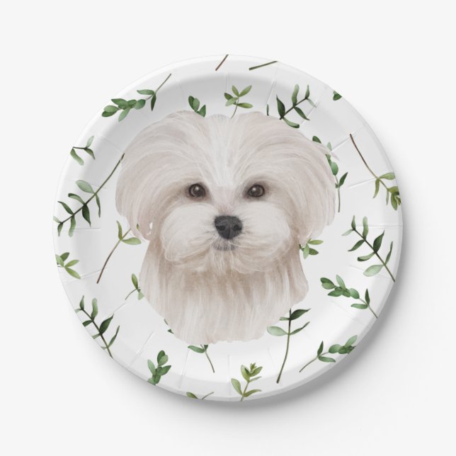 White Maltese Dog Greenery Boho Baby Shower Pappteller (Vorderseite)