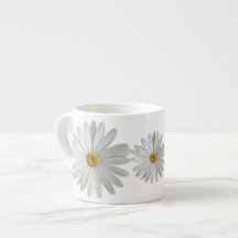 White Marguerite Daisy Blume