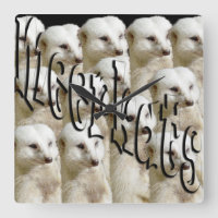 White Meerkat Army,
