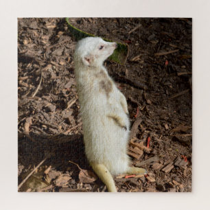 White Meerkat Stehend , Jigsaw Puzzle