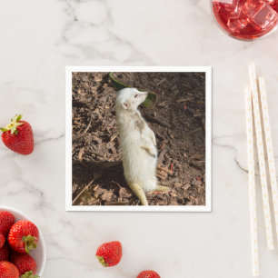 White Meerkat Stehend , Paper Party Napkins Serviette