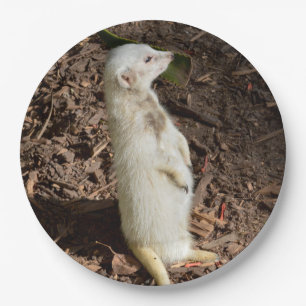 White Meerkat Stehend , Paper Party Teller