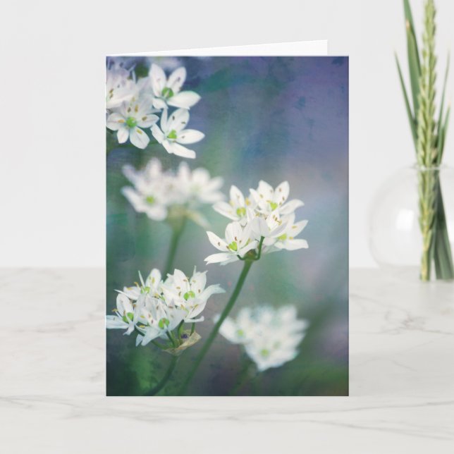 White Morning Blossoms Scripture Card Psalm 143:8 Karte (Vorderseite)