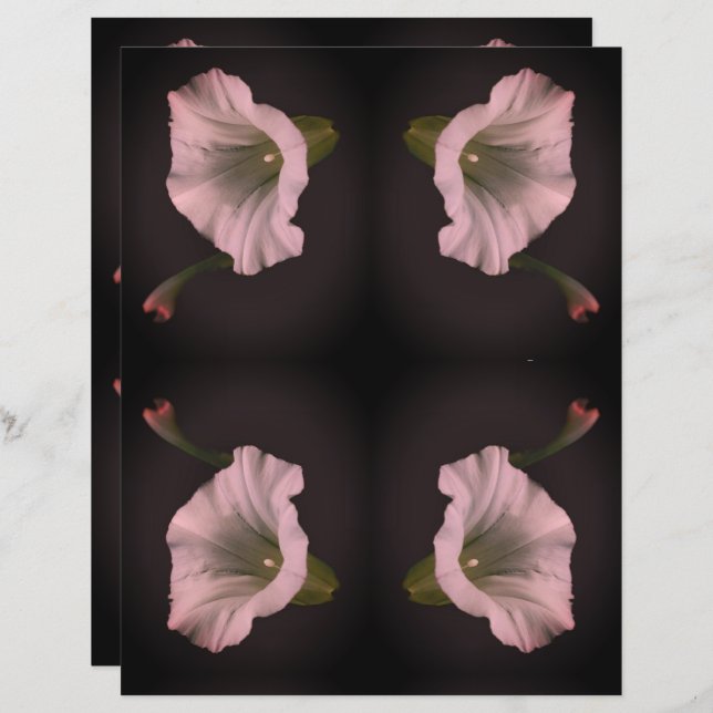 White Morning Glory Blume Scrapbook Paper (Vorne/Hinten)