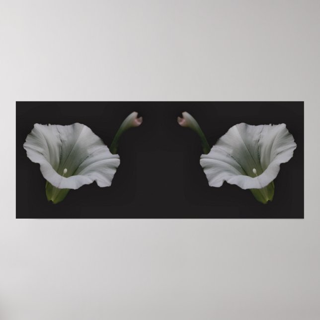 White Morning Glory Blumen Mirror Abstrakt Poster (Vorne)