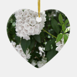 White Mountain Laurel Star Shaped Blume Keramik Ornament