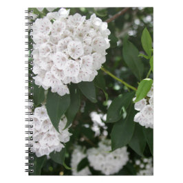 White Mountain Laurel Star Shaped Blume Notizblock