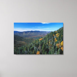 White Mountain N.F., NH. Die Aussicht aus der Nähe Leinwanddruck