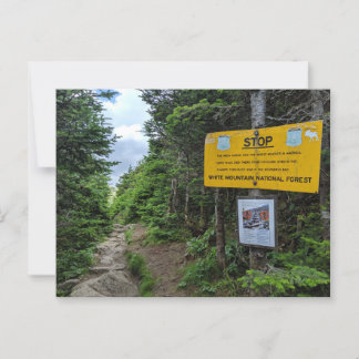 White Mountains New Hampshire Postcard Postkarte
