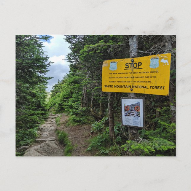 White Mountains New Hampshire Postcard Postkarte (Vorderseite)