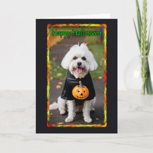 White Mutt in Costume Halloween Card Karte