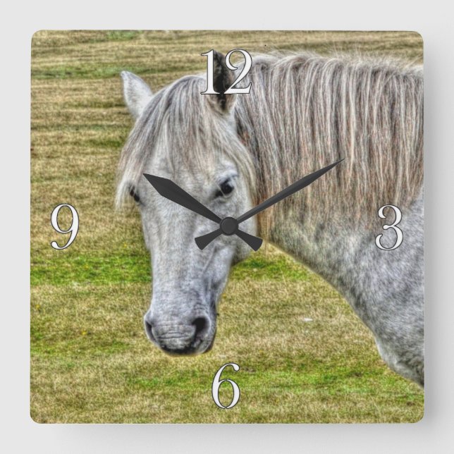 White New Forest Pony Wild Horse Quadratische Wanduhr (Vorderseite)