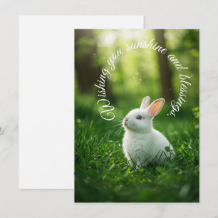 White Oaster Bunny Feiertagskarte