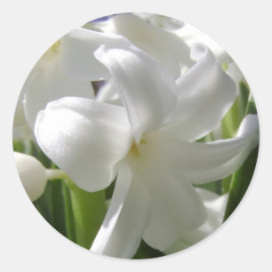 White Oaster Lilly Runder Aufkleber