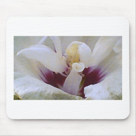 White on White Rose Bloom Mousepad