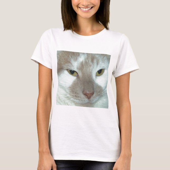 White & Orange Tabby T-Shirt (Vorderseite)