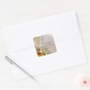 White Orchid Elegance Wedding Save the Date Quadratischer Aufkleber