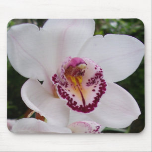 White Orchid I Beautiful Tropical Blume Mousepad