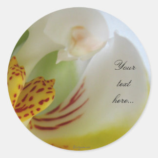 White Orchid Magic Wedding Einladung Siegel Runder Aufkleber
