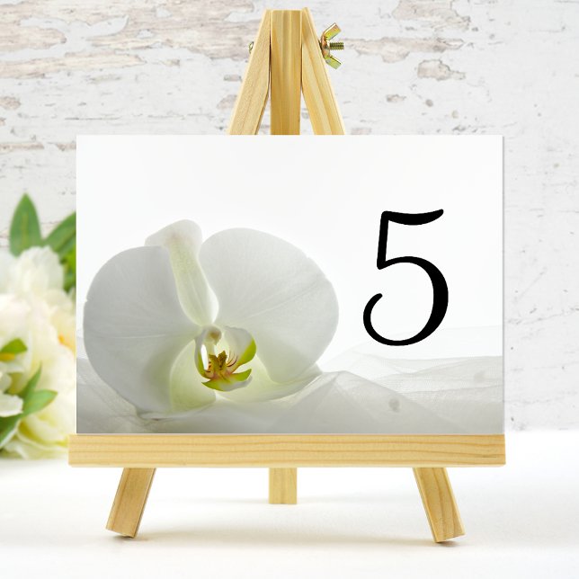 White Orchid und Bridal Veil Hochzeitsstipps-Tisch Tischnummer (Von Creator hochgeladen)