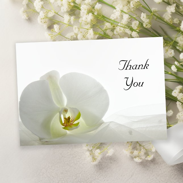 White Orchid und Veil Flat Vielen Dank Anmerkungen Einladung (Von Creator hochgeladen)