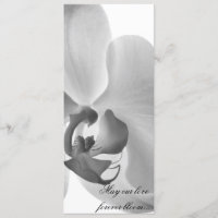 White Orchid Wedding Program