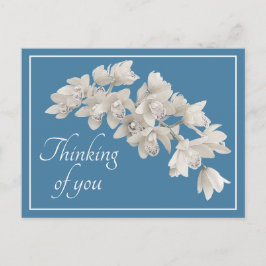 White Orchids Blue Background Denken Sie an Sie Postkarte