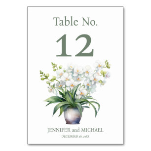 White Orchids Watercolor Hochzeitsstimmung Tischnu Tischnummer
