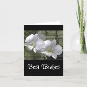 "WHITE ORCHIDS WITH RAINDROPS" (Foto) Karte