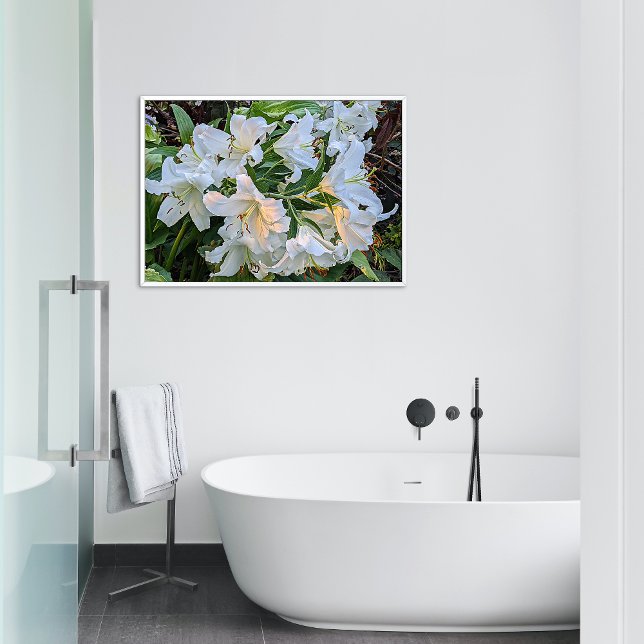 White Oriental Lily Blooms Blues Fotodruck (In Situ Framed)