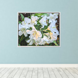 White Oriental Lily Blooms Blues Leinwanddruck