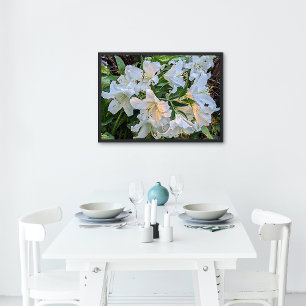 White Oriental Lily Blooms Blues Poster
