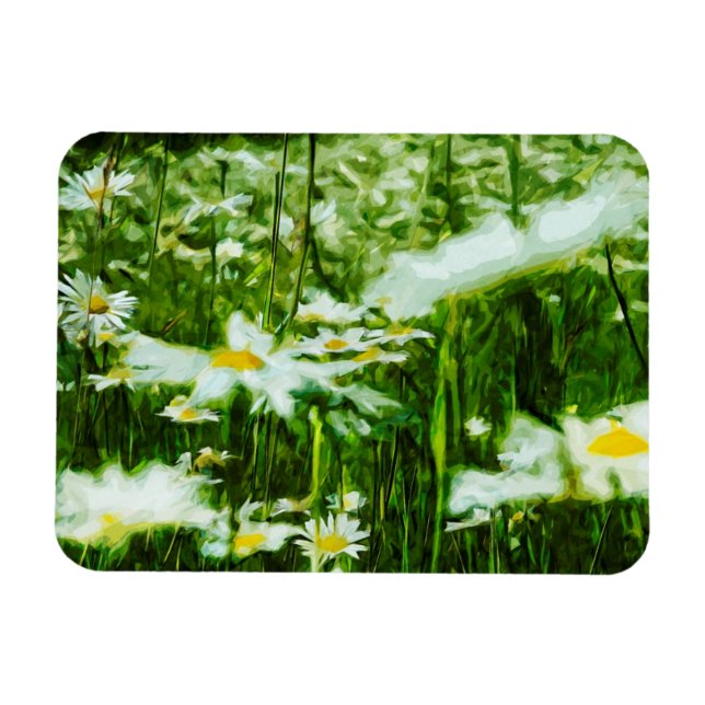 White Oxeye Daisy Abstrakt Floral Magnet (Horizontal)