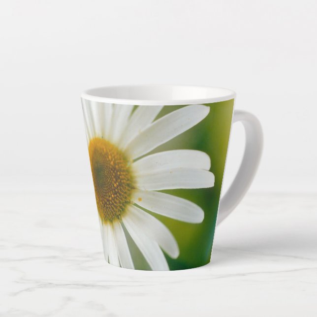 White Oxeye Daisy - Leucanthemum vulgare Milchtasse (Rechte Ecke)