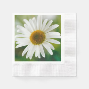 White Oxeye Daisy - Leucanthemum vulgare Serviette
