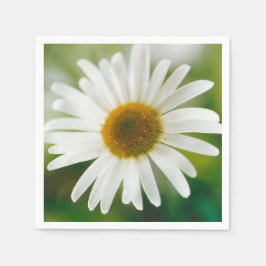 White Oxeye Daisy - Leucanthemum vulgare Serviette