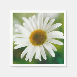 White Oxeye Daisy - Leucanthemum vulgare Serviette