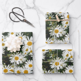 White Oxeye Daisy Meadow Geschenkpapier Set
